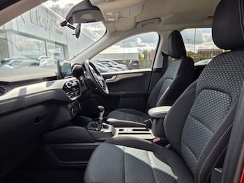 Used Ford Kuga 2020 for sale - 79868732: Photo