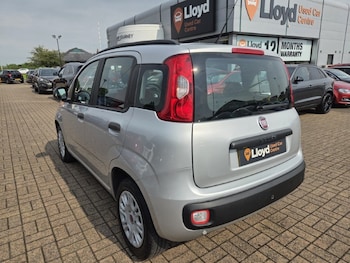 Used Fiat Panda 2017 for sale - 79029839: Photo