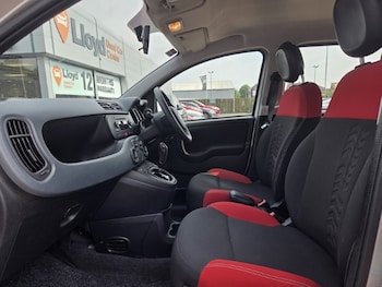 Used Fiat Panda 2017 for sale - 79029839: Photo
