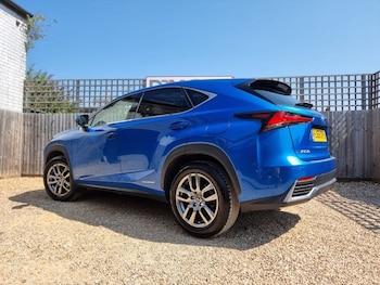 Used Lexus NX 2019 for sale - 78995898: Photo