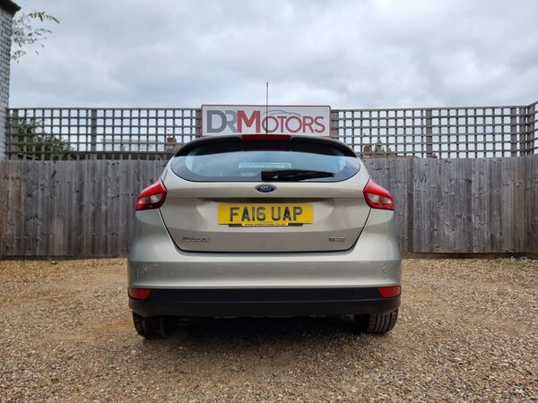 Used Ford Focus 2016 for sale - 76119134: Photo 25
