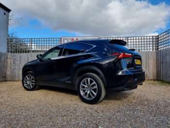 Used Lexus NX 2017 for sale - 73901082: Photo