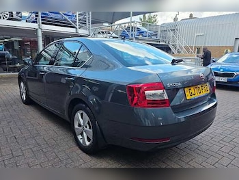 Used Skoda Octavia 2020 for sale - 79531120: Photo