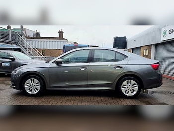 Used Skoda Octavia 2022 for sale - 76884690: Photo