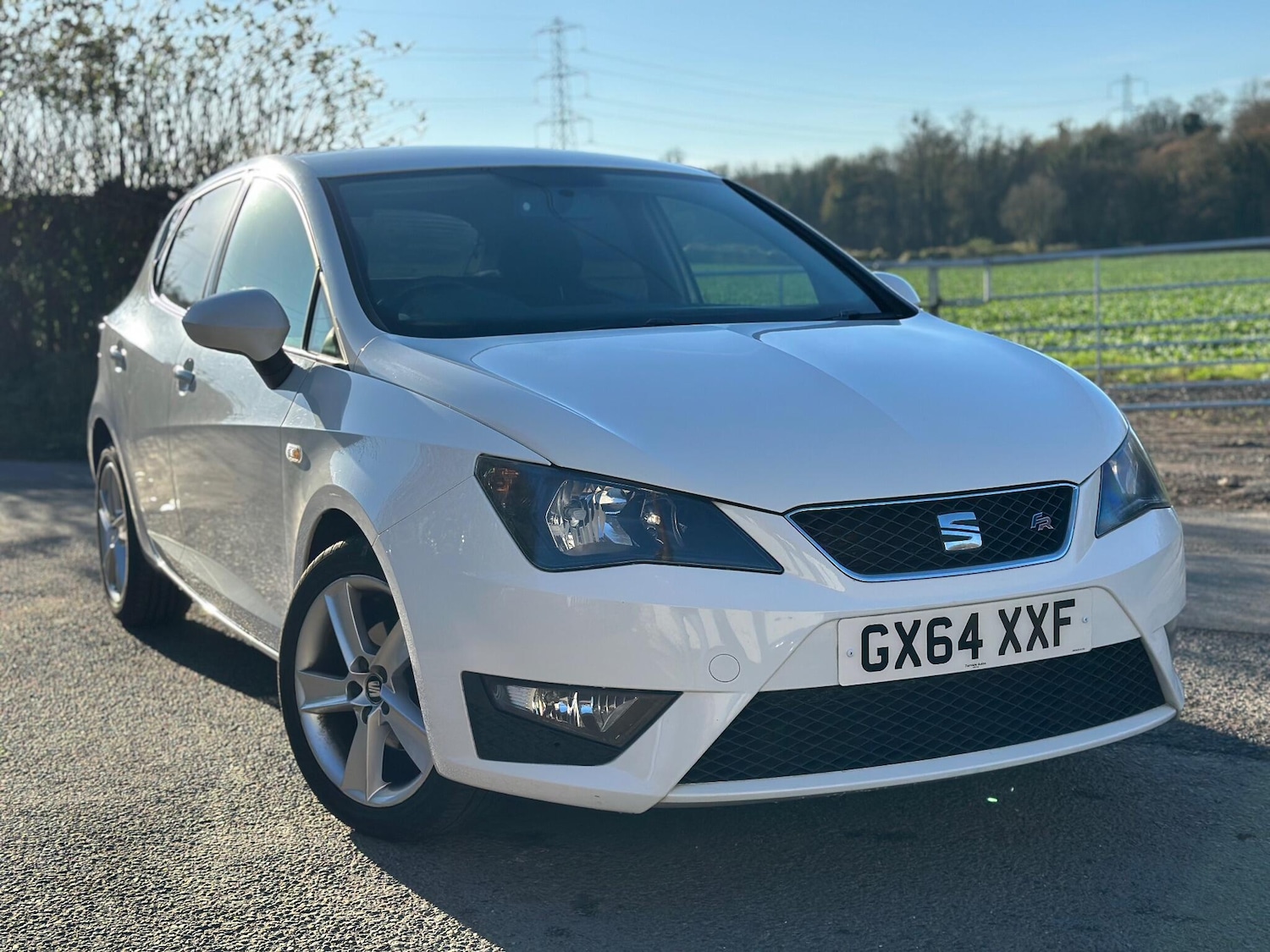 Used SEAT Ibiza 2014 for sale - 76646126: Photo 13