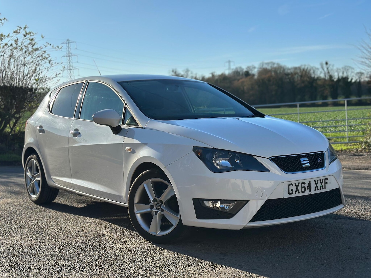 Used SEAT Ibiza 2014 for sale - 76646126: Photo 14