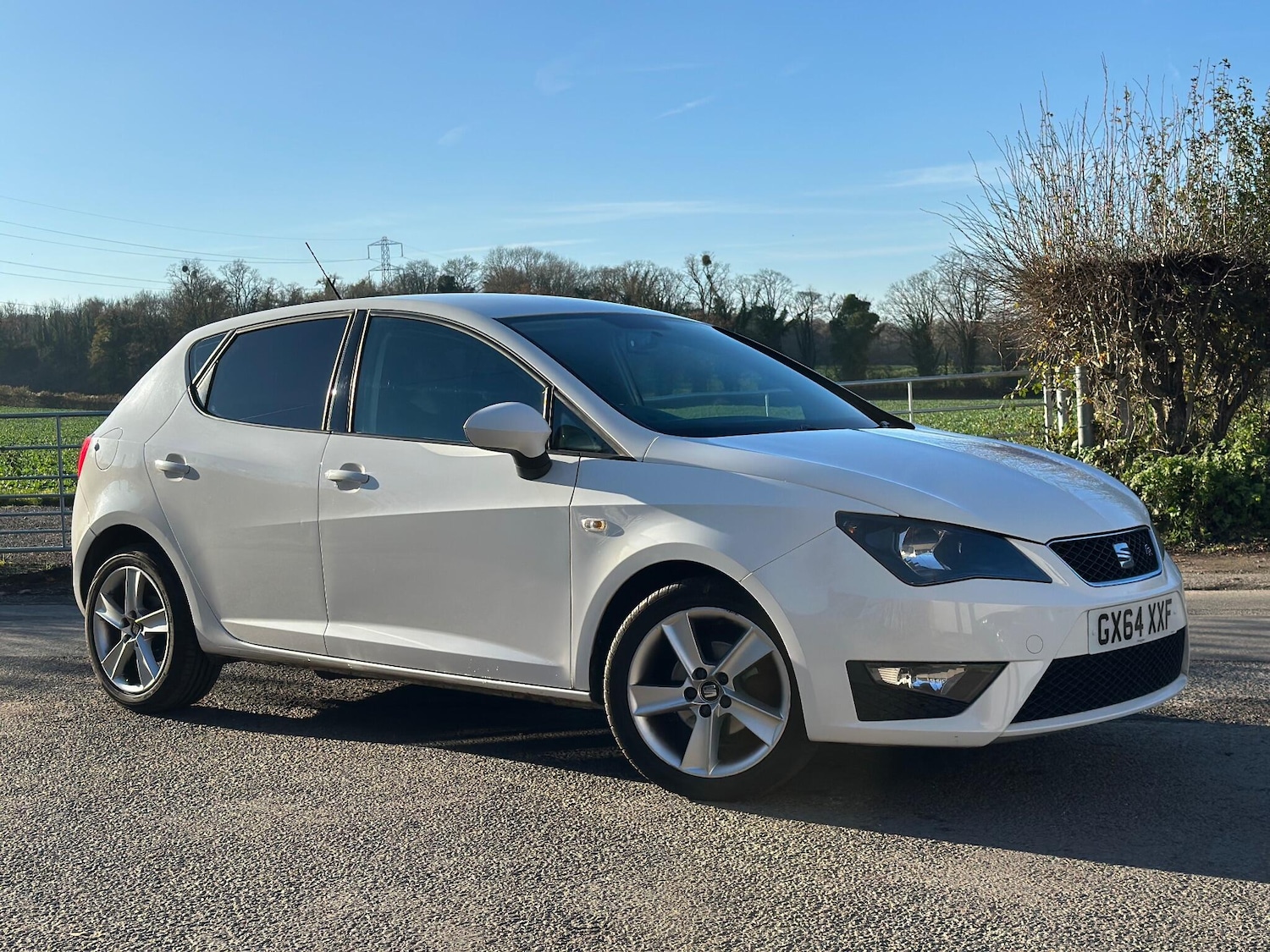 Used SEAT Ibiza 2014 for sale - 76646126: Photo 15