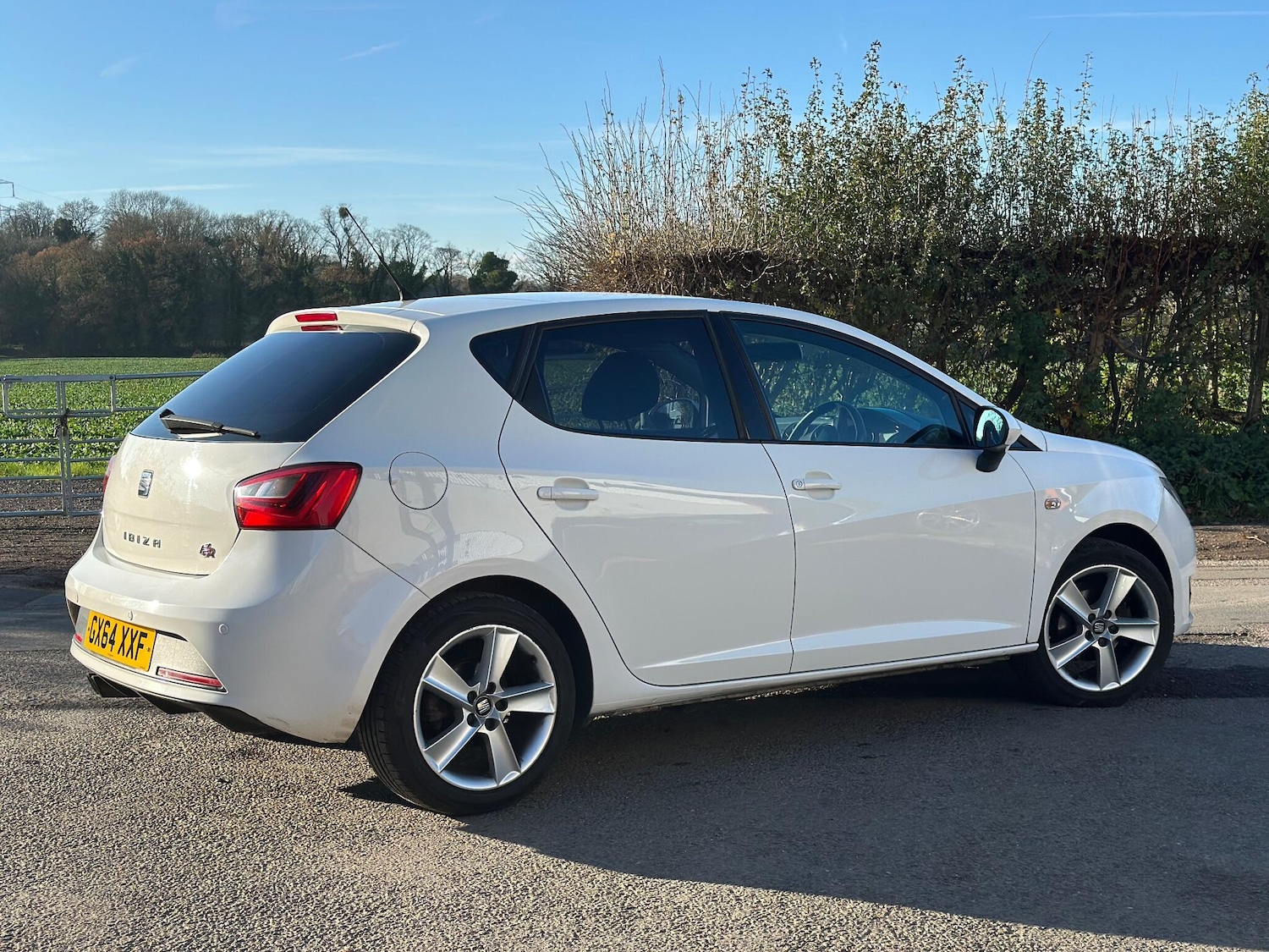 Used SEAT Ibiza 2014 for sale - 76646126: Photo 17