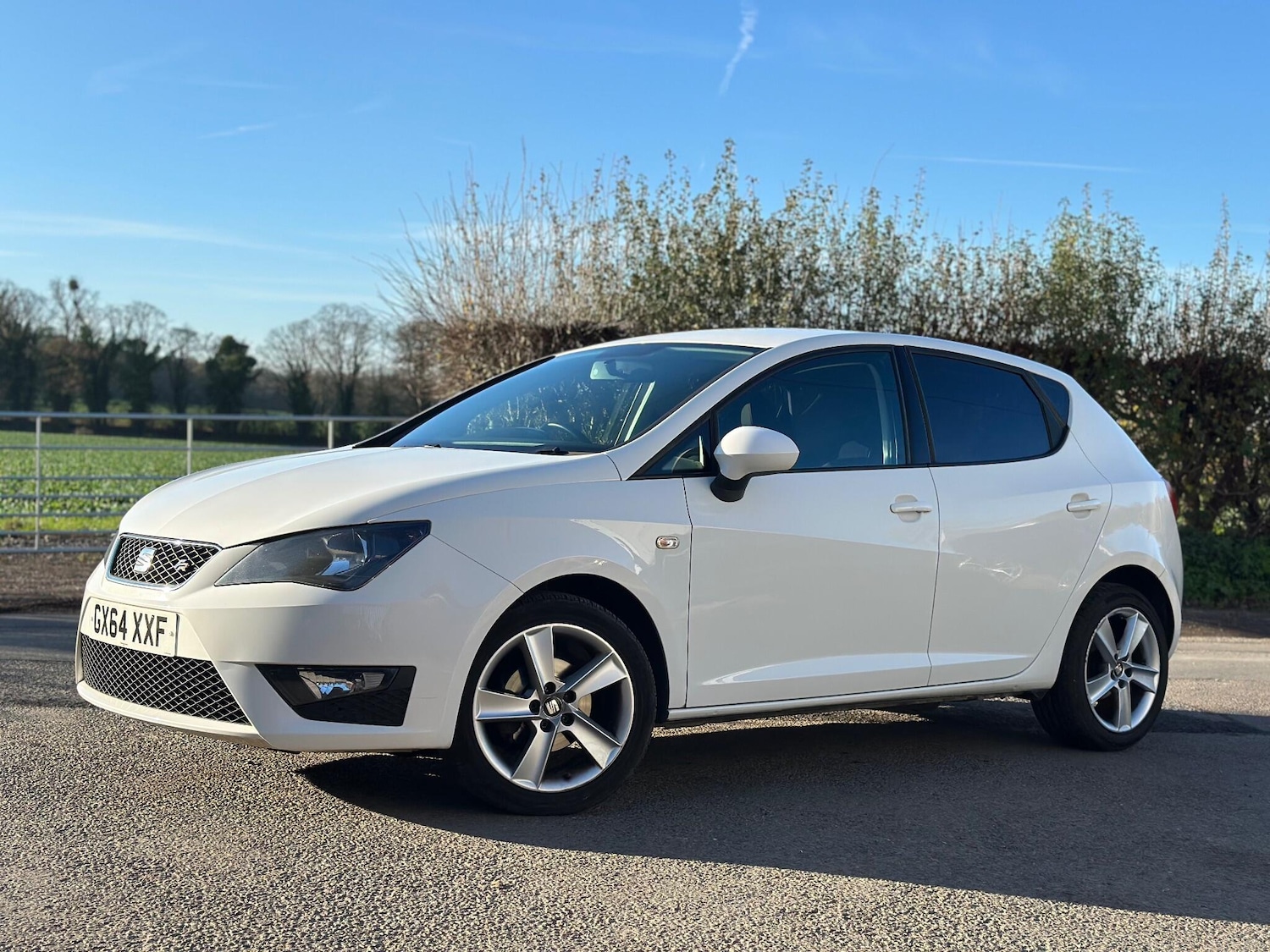 Used SEAT Ibiza 2014 for sale - 76646126: Photo 4