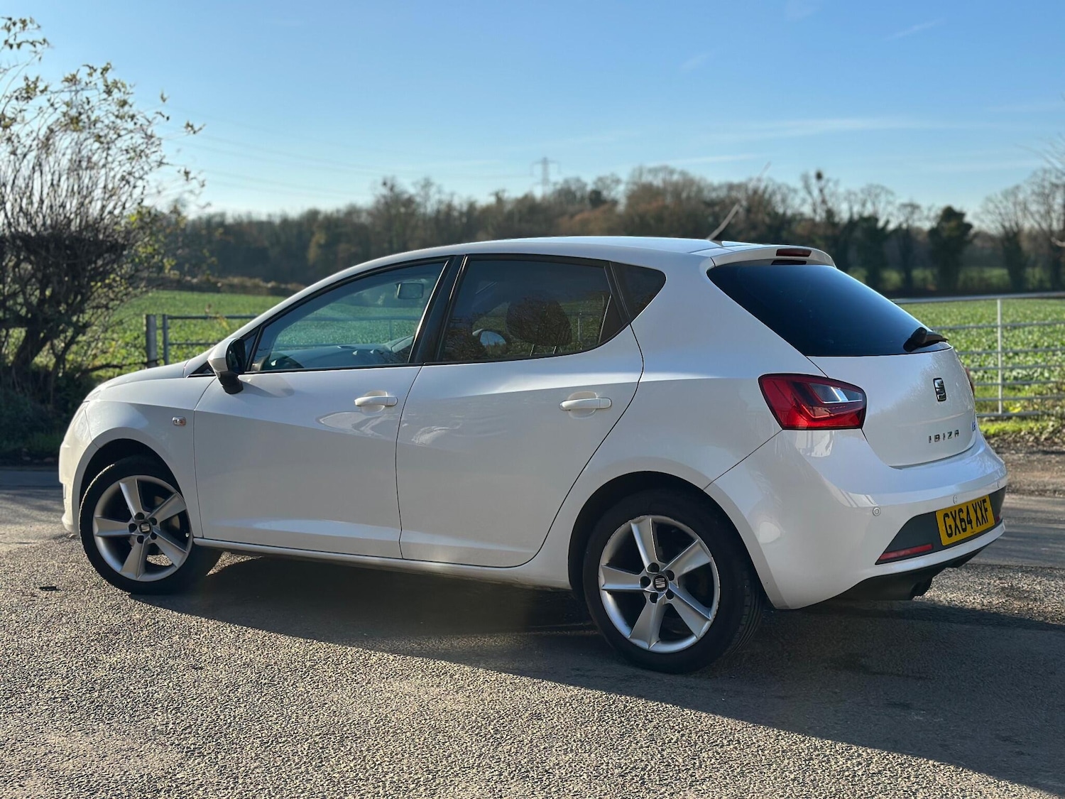 Used SEAT Ibiza 2014 for sale - 76646126: Photo 6