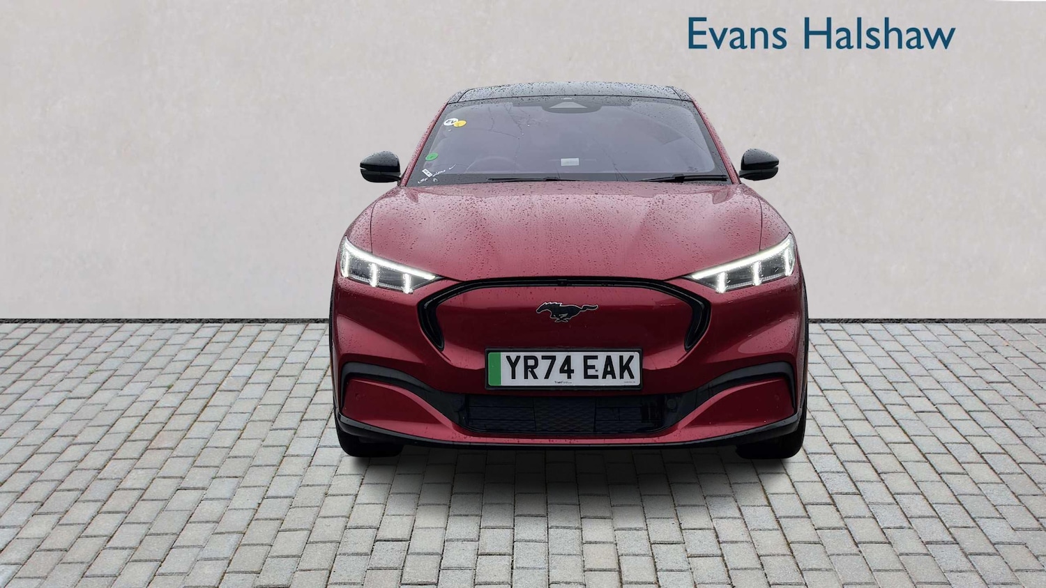 Used Ford Mustang Mach-E 2024 for sale - 77164485: Photo 4