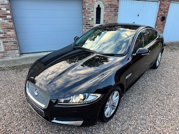 Used Jaguar XF 2013 for sale - 76007185: Photo