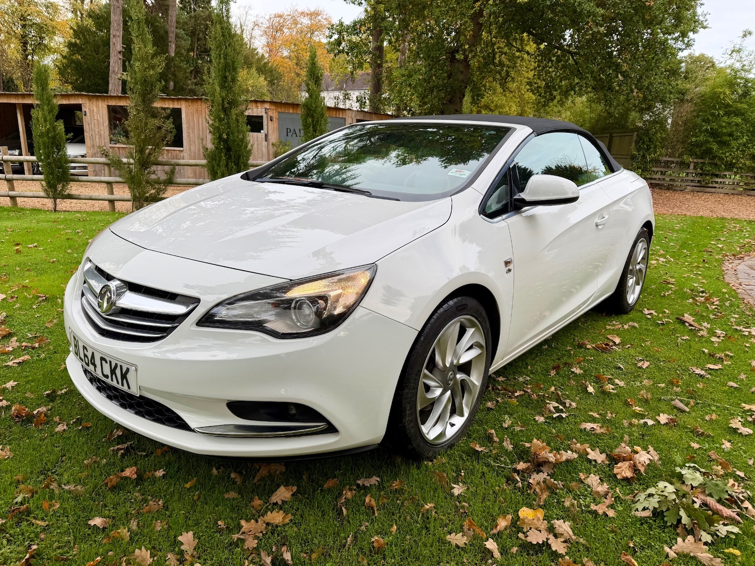 Used Vauxhall Cascada 2014 for sale - 76321781: Photo 3