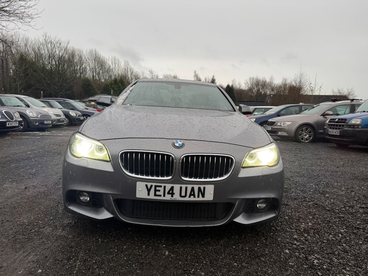 Used BMW 5 Series 2014 for sale - 77502759: Photo 2