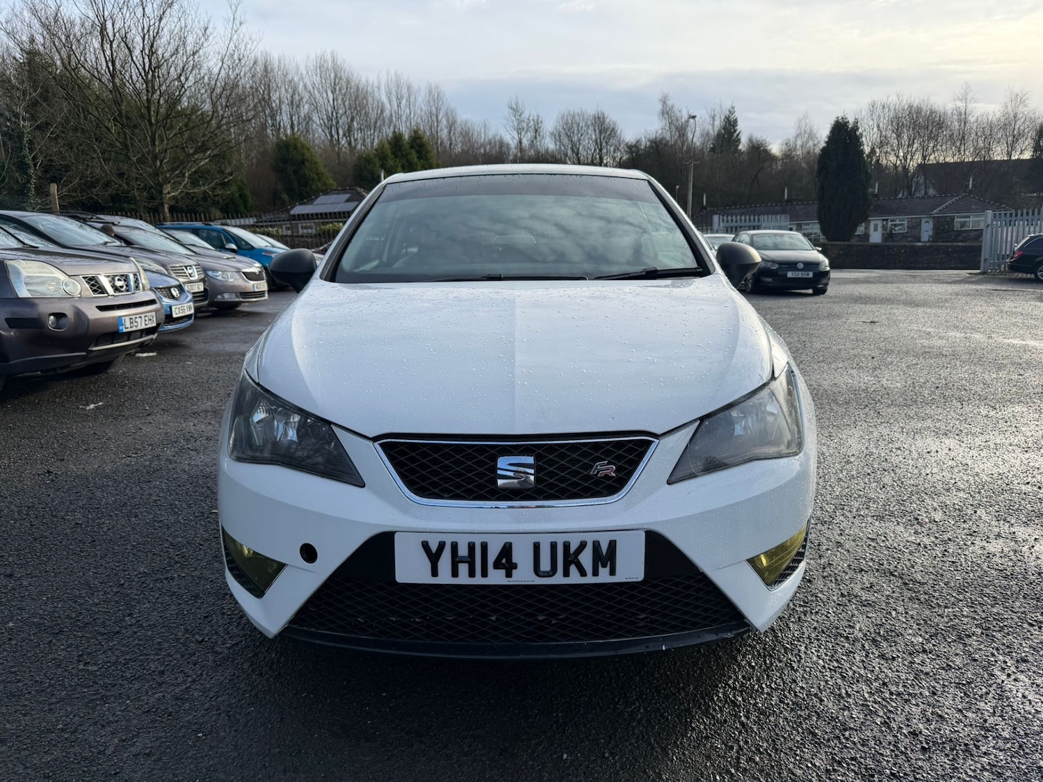 Used SEAT Ibiza 2014 for sale - 77543885: Photo 2