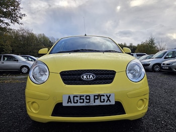 Used Kia Picanto 2010 for sale - 77421161: Photo