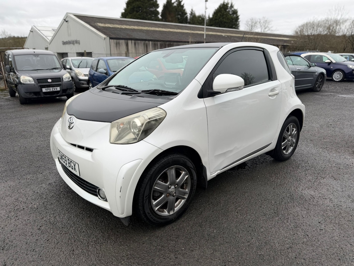 Used Toyota IQ 2009 for sale - 77803468: Photo 3