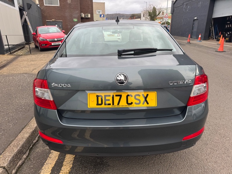 Used Skoda Octavia 2017 for sale - 77697472: Photo 3