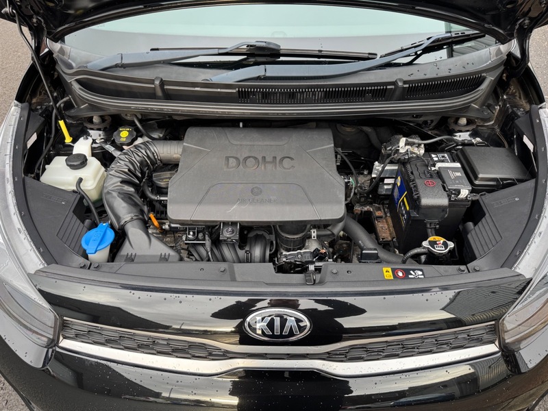 Used Kia Picanto 2019 for sale - 77697460: Photo 15