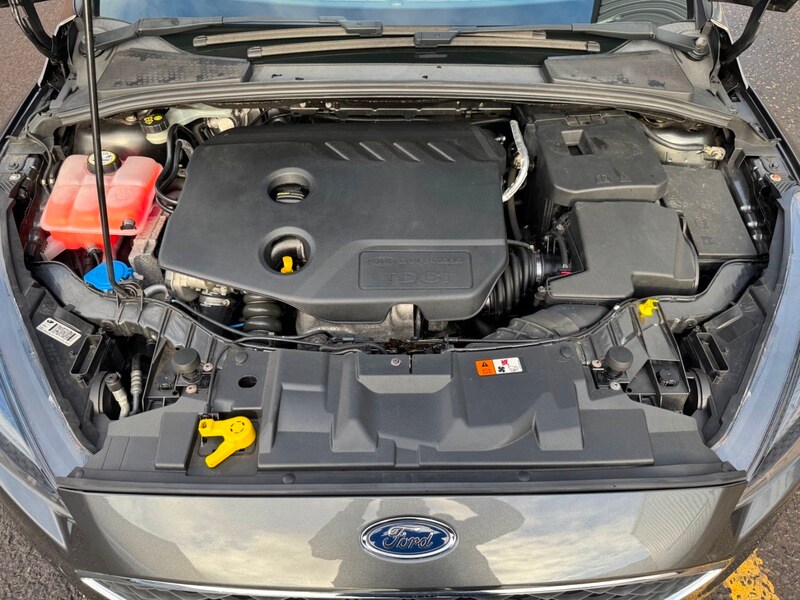 Used Ford Focus 2015 for sale - 77697478: Photo 21