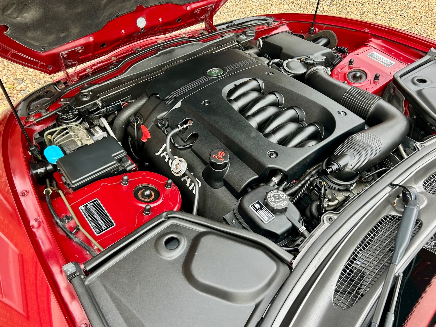 Used Jaguar XK8 2003 for sale - 77927497: Photo 41