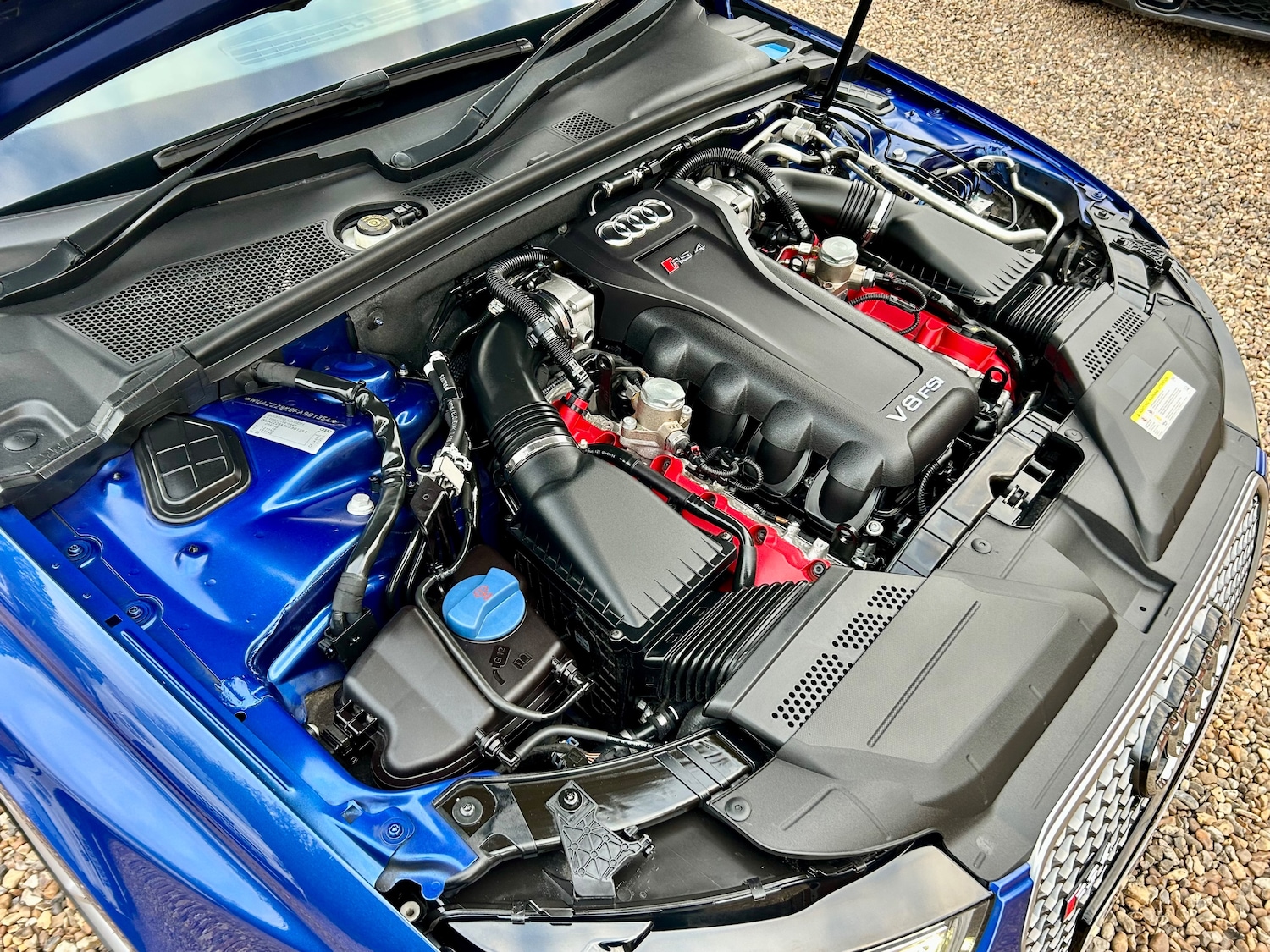 Used Audi RS4 2015 for sale - 78036881: Photo 62