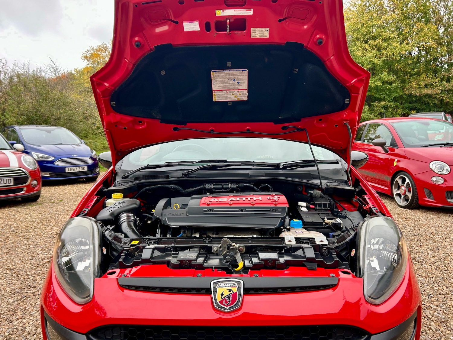 Used Abarth Punto Evo 2013 for sale - 76490921: Photo 49