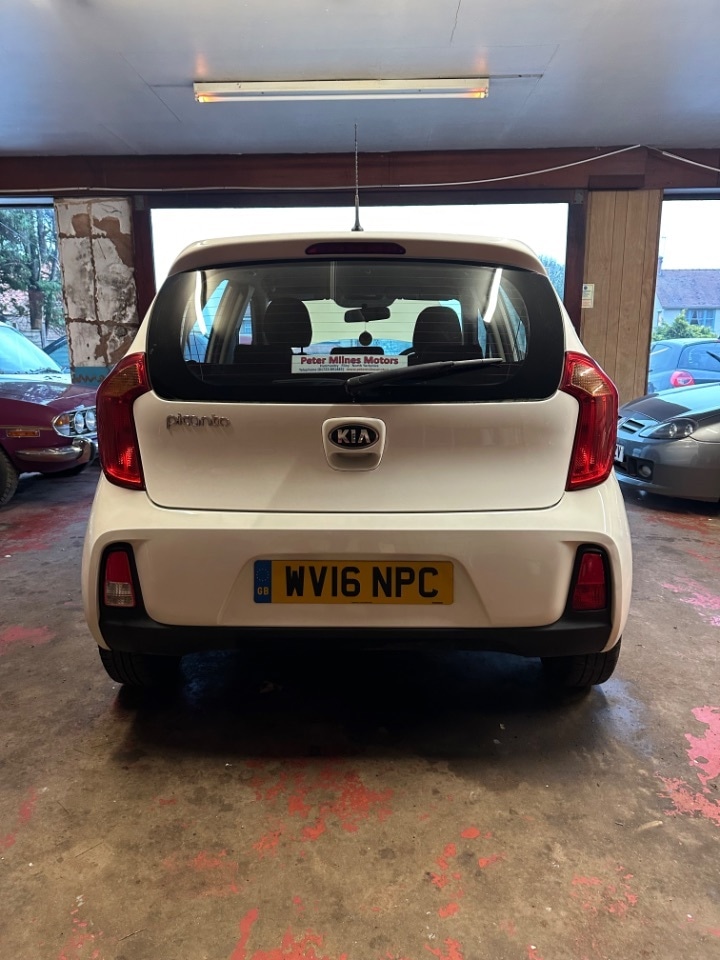 Used Kia Picanto 2016 for sale - 77301577: Photo 2