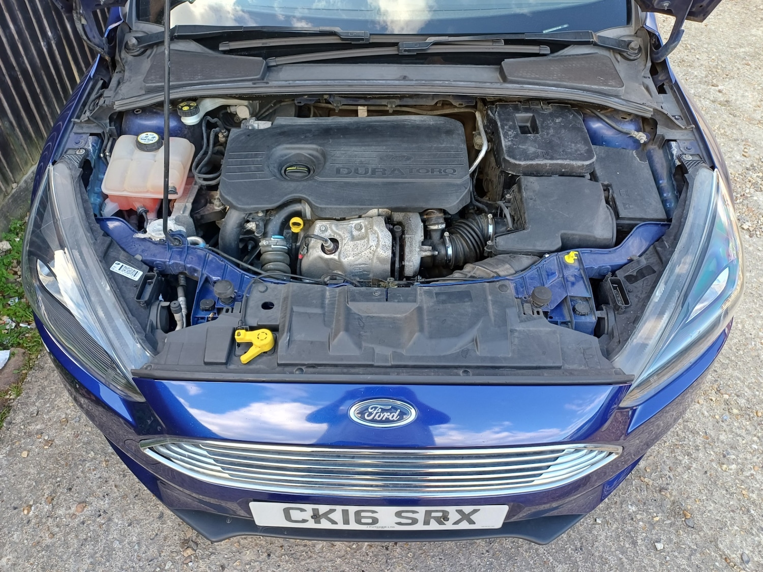 Used Ford Focus 2016 for sale - 78081996: Photo 8