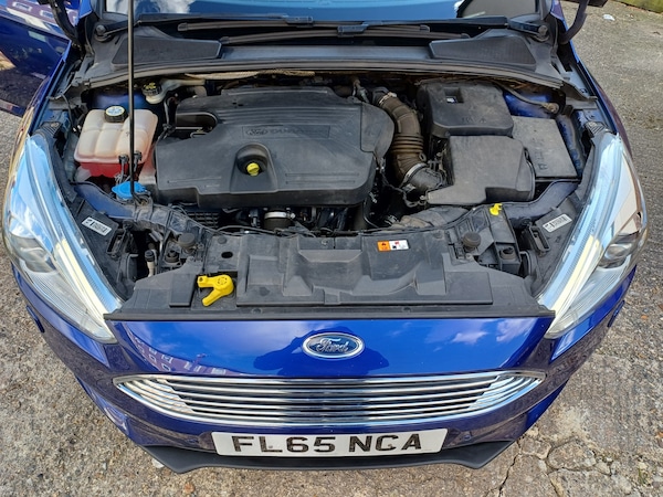 Used Ford Focus 2015 for sale - 75133924: Photo 8