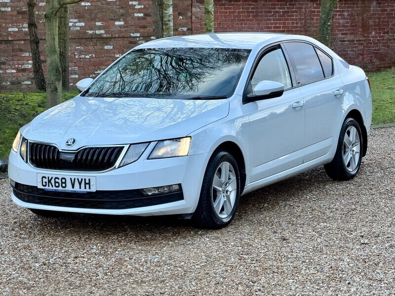 Used Skoda Octavia 2018 for sale - 77399601: Photo 14