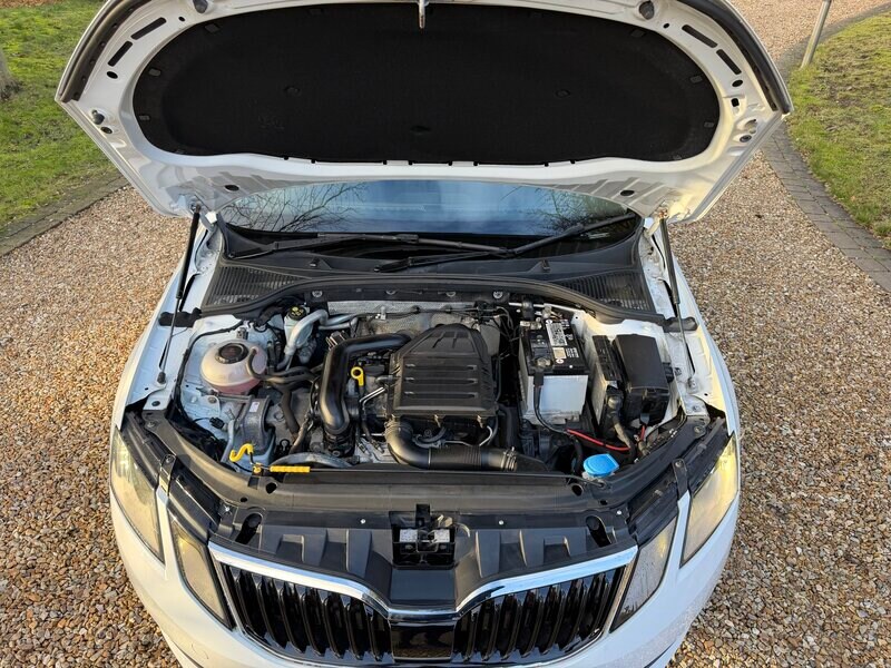 Used Skoda Octavia 2018 for sale - 77399601: Photo 15