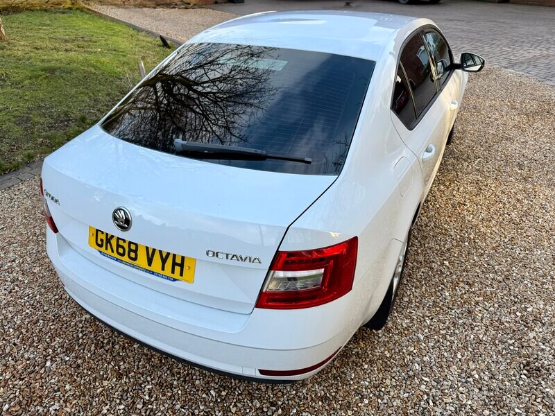 Used Skoda Octavia 2018 for sale - 77399601: Photo 18