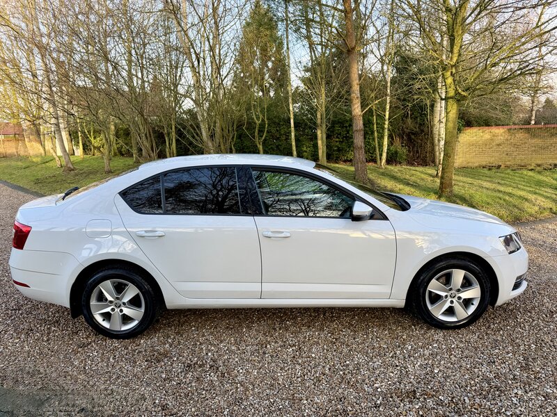 Used Skoda Octavia 2018 for sale - 77399601: Photo 4