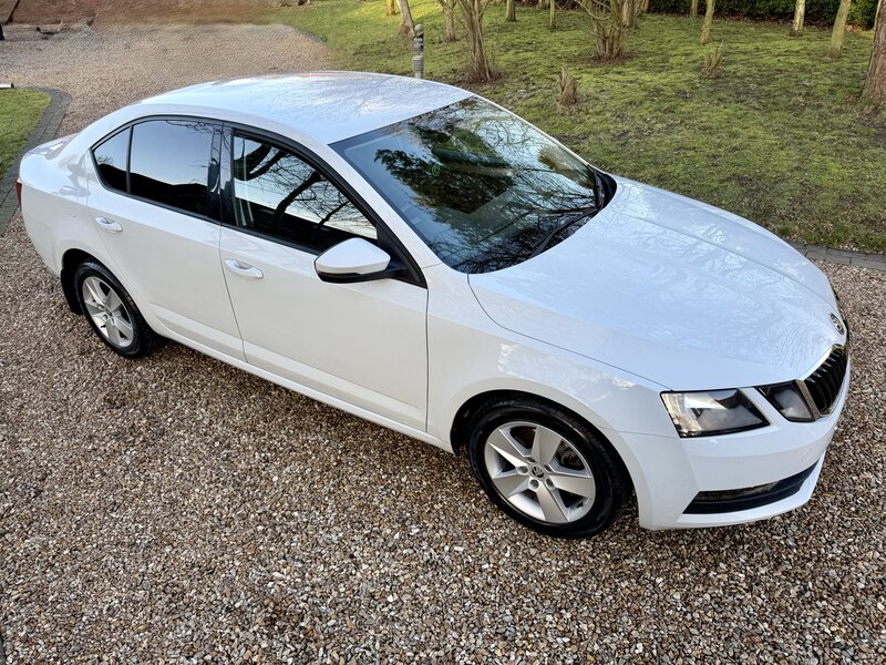 Used Skoda Octavia 2018 for sale - 77399601: Photo 6