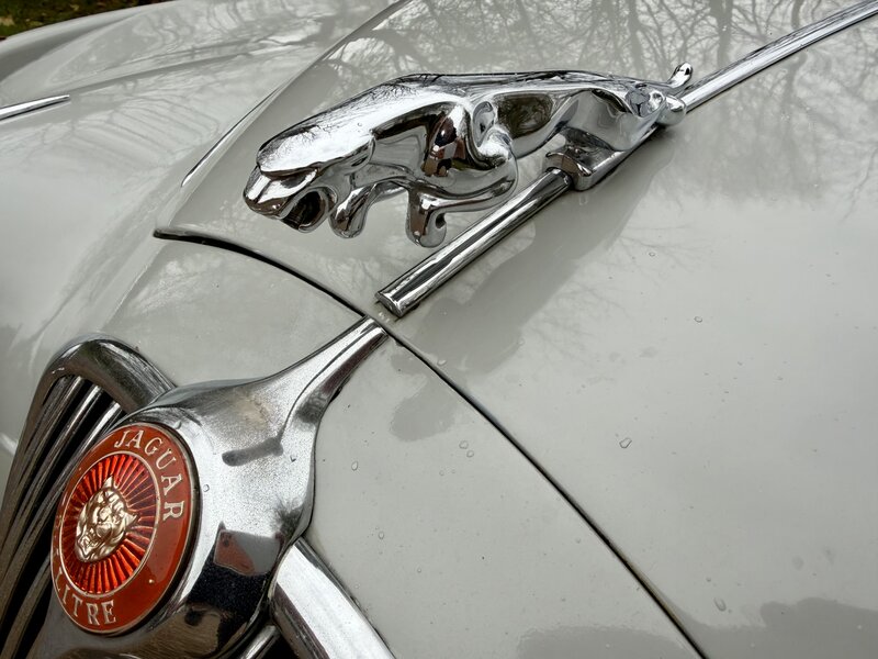 Used Jaguar Mark II 1966 for sale - 76882900: Photo 12