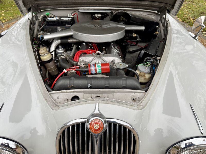 Used Jaguar Mark II 1966 for sale - 76882900: Photo 32