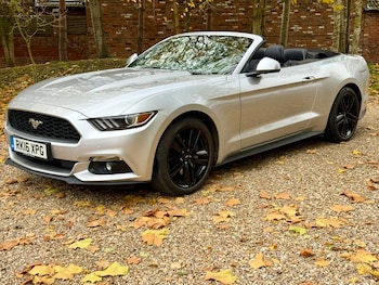 Used Ford Mustang 2016 for sale - 76453178: Photo