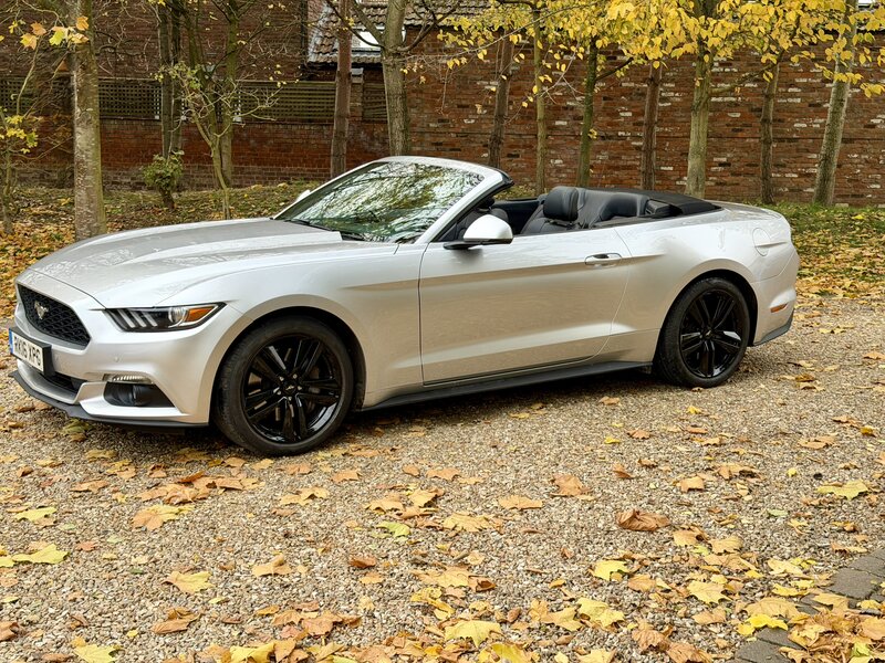 Used Ford Mustang 2016 for sale - 76453178: Photo 25