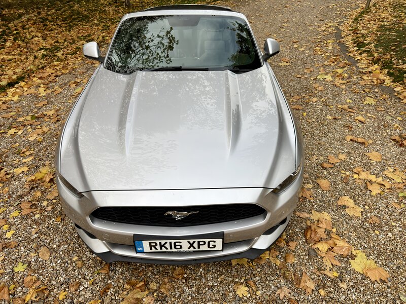 Used Ford Mustang 2016 for sale - 76453178: Photo 32