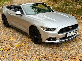 Used Ford Mustang 2016 for sale - 76453178: Photo