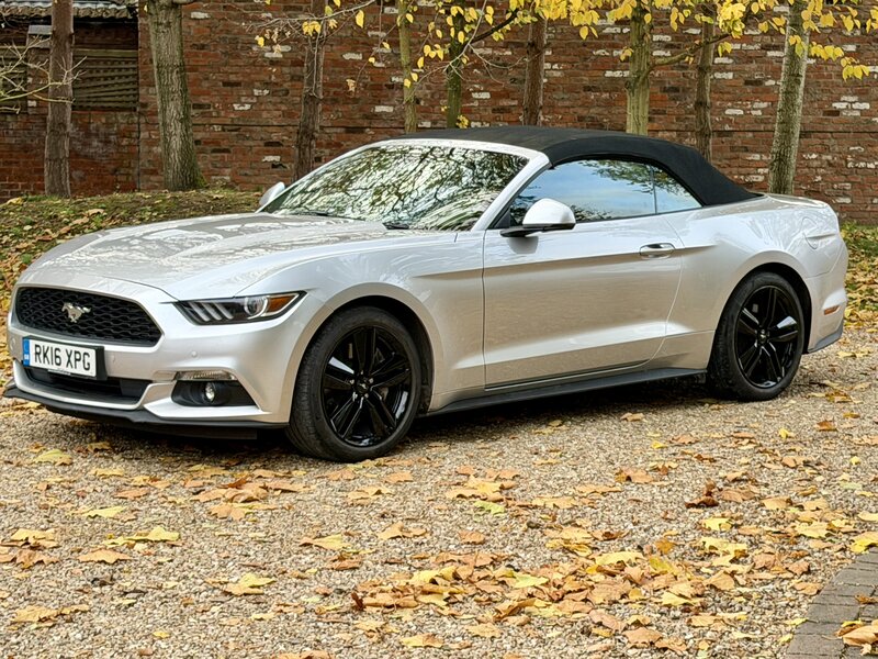 Used Ford Mustang 2016 for sale - 76453178: Photo 9