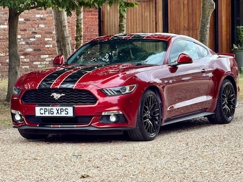 Used Ford Mustang 2016 for sale - 79344955: Photo