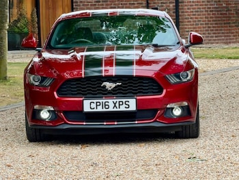 Used Ford Mustang 2016 for sale - 79344955: Photo