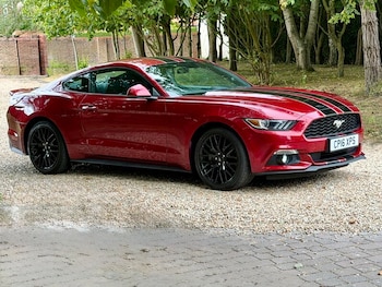 Used Ford Mustang 2016 for sale - 79344955: Photo