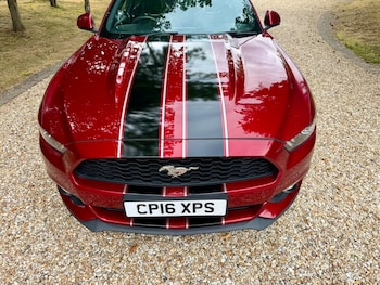 Used Ford Mustang 2016 for sale - 79344955: Photo
