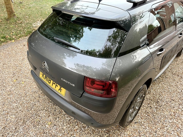 Used Citroen C4 Cactus 2018 for sale - 76297277: Photo 19