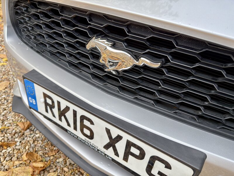 Used Ford Mustang 2016 for sale - 76691668: Photo 29