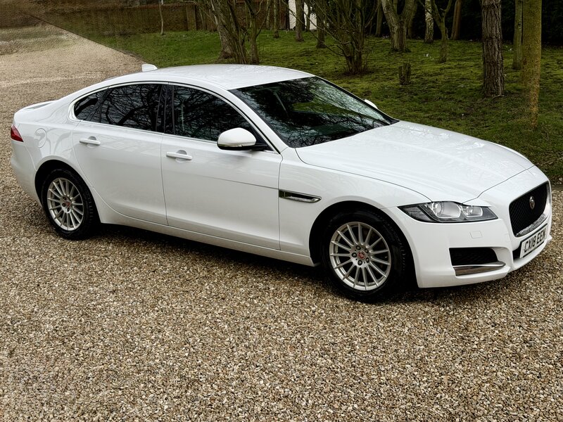 Used Jaguar XF 2018 for sale - 77638211: Photo 13