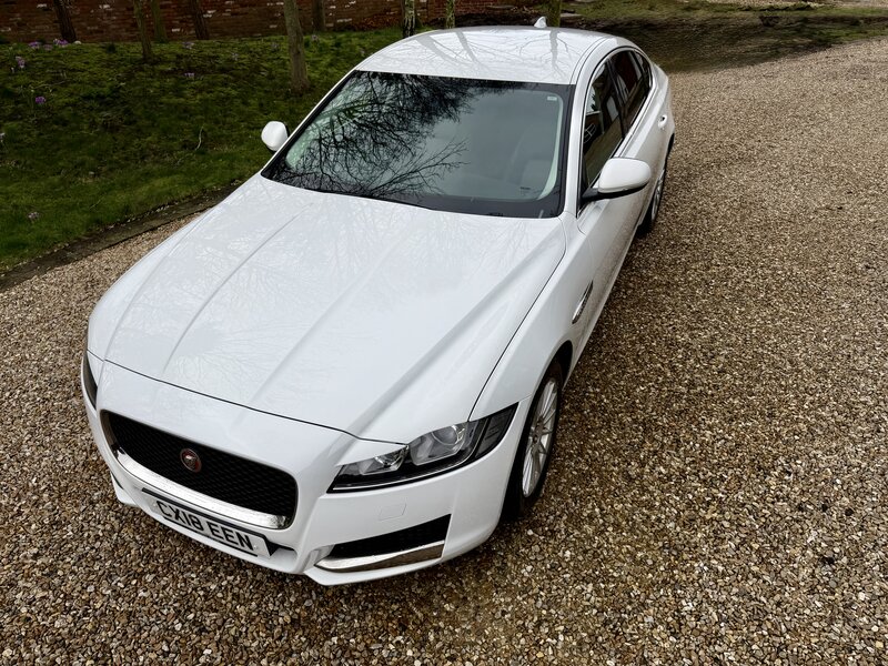 Used Jaguar XF 2018 for sale - 77638211: Photo 22